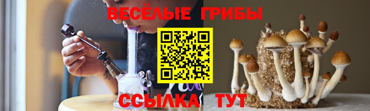 Реж  купить наркотики сайты  Вход с VPN  Псилоцибиновые грибы мицелий  Галлюциногенные грибы Psilocybine cubensis 